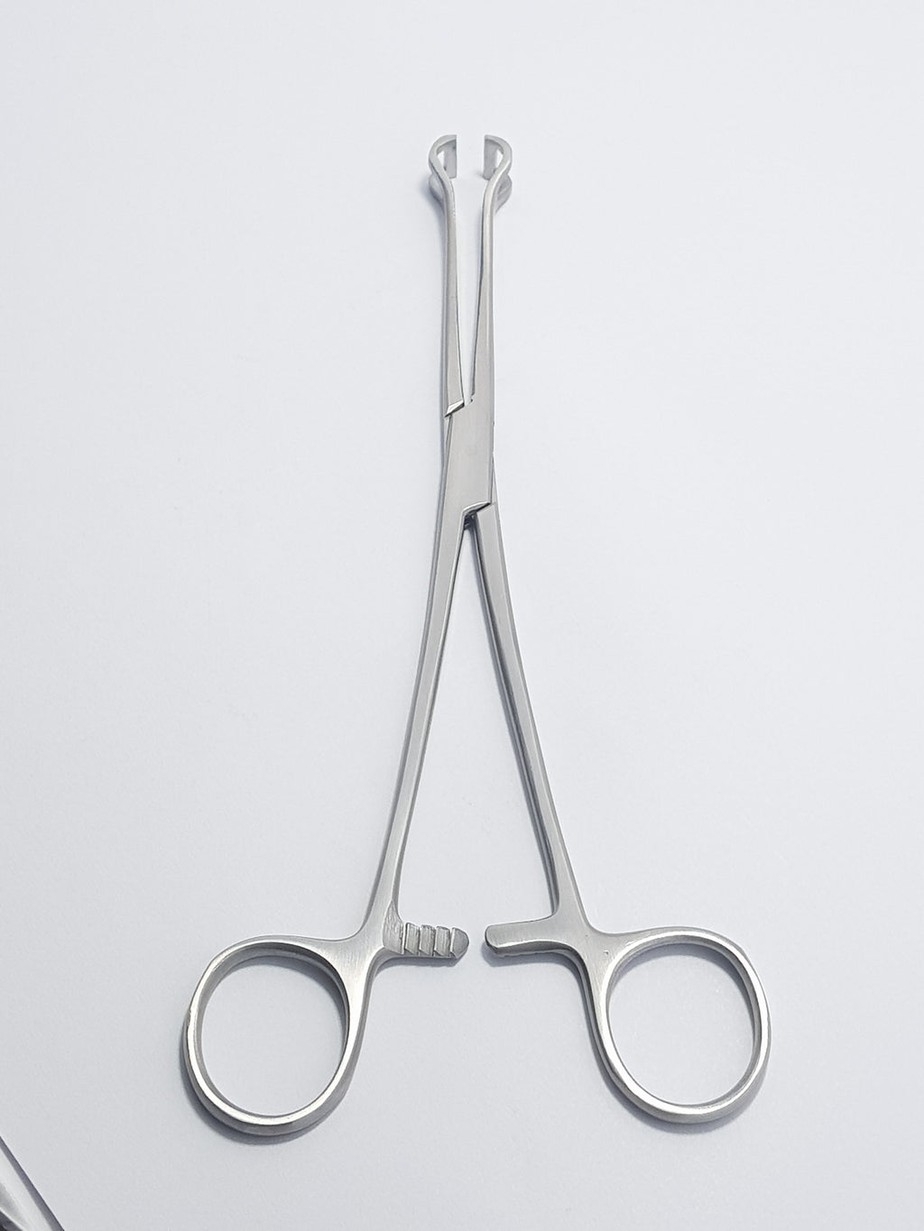 Babcock Forceps Set | 2-Piece Stainless Steel Precision Holding Clamps | Available in 18 cm (7"), 20 cm (8") & 24 cm (9.5") Lengths | Secure Atraumatic Grip, Reusable & Durable Design
