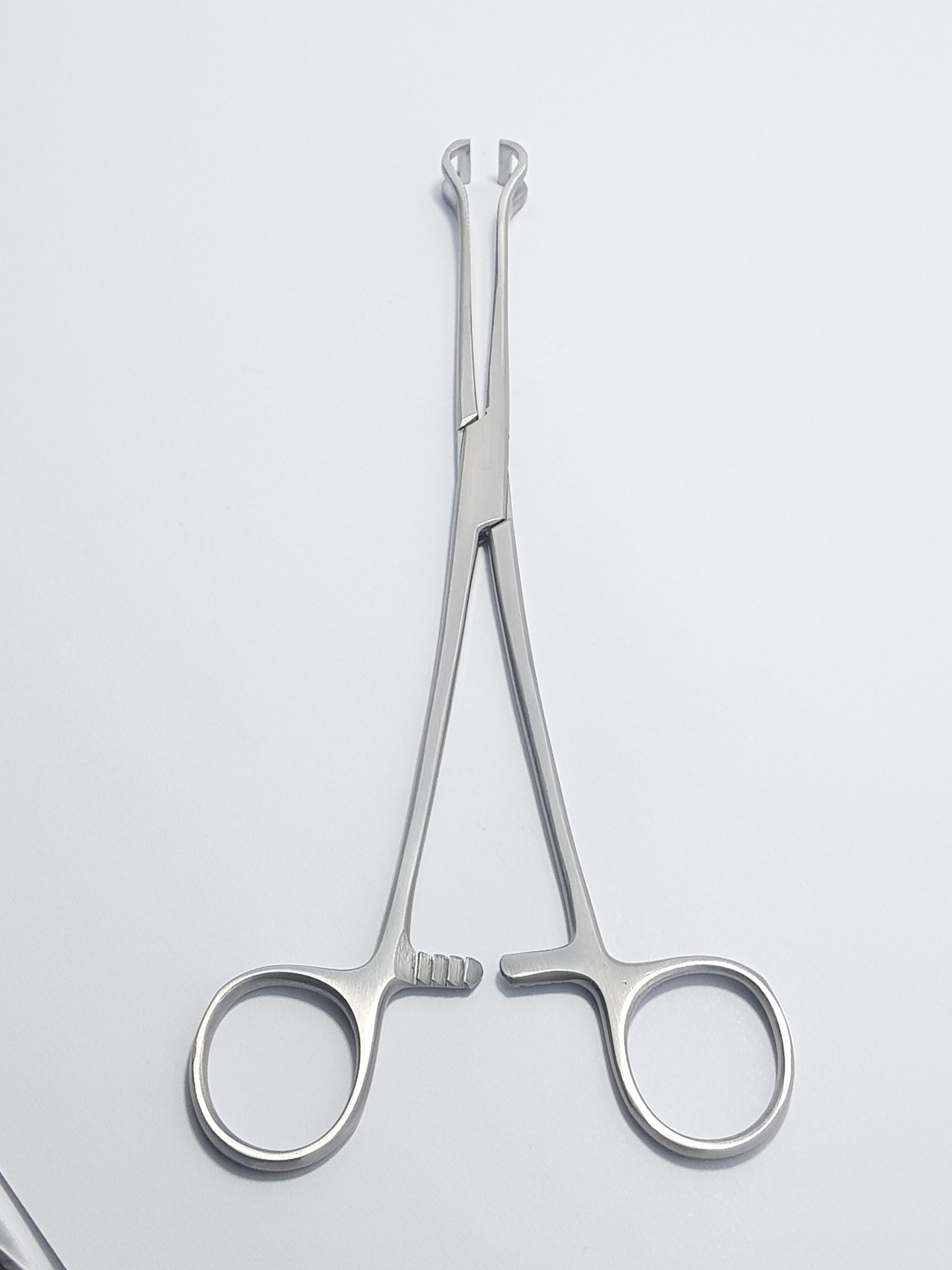 Babcock Forceps Set | 2-Piece Stainless Steel Precision Holding Clamps | Available in 18 cm (7"), 20 cm (8") & 24 cm (9.5") Lengths | Secure Atraumatic Grip, Reusable & Durable Design