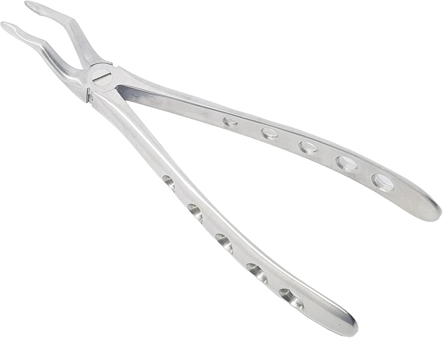 Upper Roots Extraction Forceps #51 (FX51) – Premium Stainless Steel Dental Extraction Instrument with Serrated Beaks | Reusable & Autoclavable