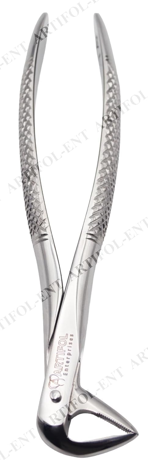European Style Root Extraction Forceps – Deep-Reach Serrated Beaks | Premium Surgical Stainless Steel | Precision Fragment Retrieval & Sub-Gingival Root Management #FX74