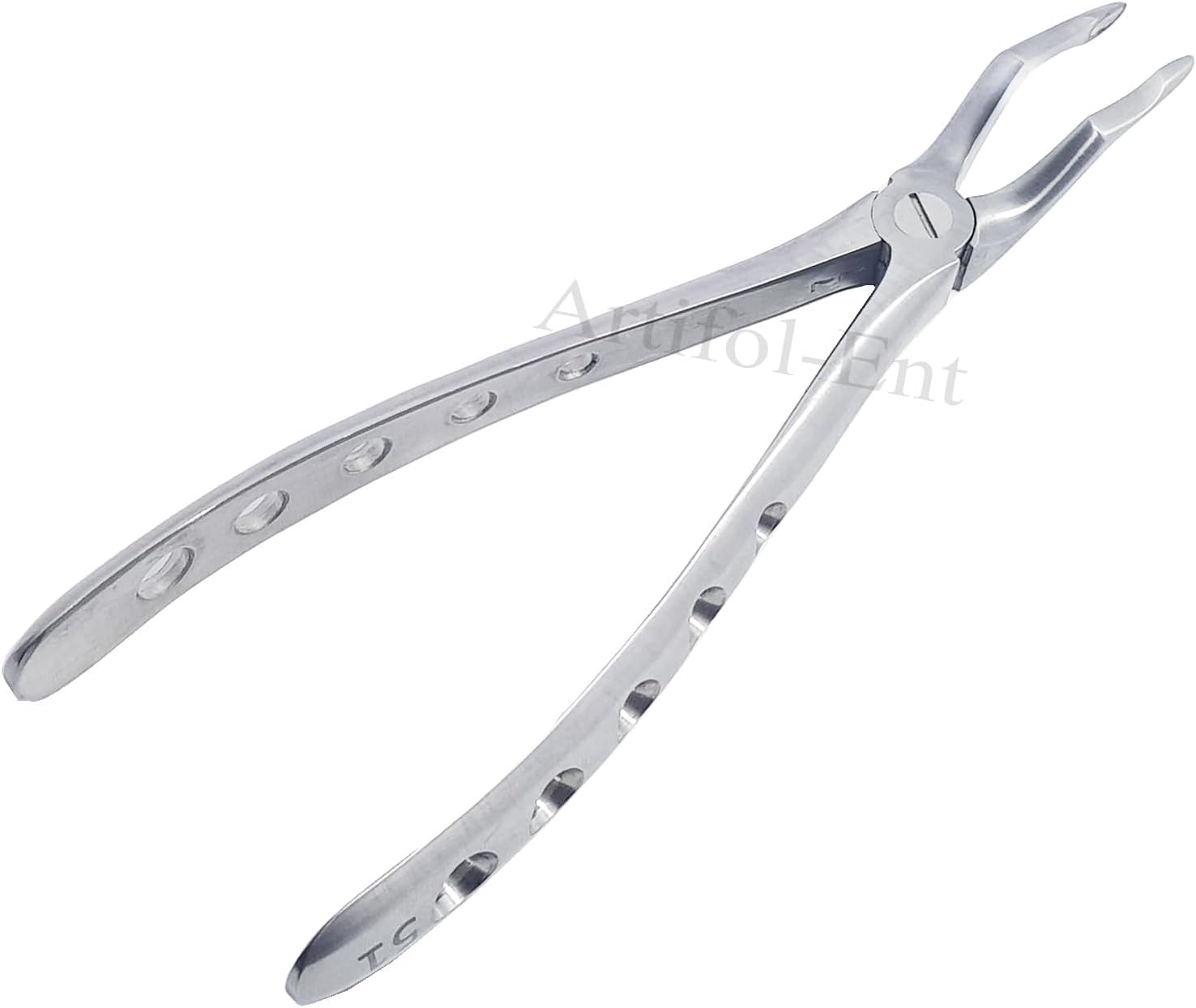 Upper Roots Extraction Forceps #51 (FX51) – Premium Stainless Steel Dental Extraction Instrument with Serrated Beaks | Reusable & Autoclavable