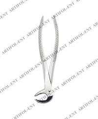 Lower Molars Extraction Forceps 73 – Professional Dental Extraction Instrument | Deep-Grip Beak Design, Heavy-Duty Stainless Steel, Ergonomic Handles | Reusable #FX73