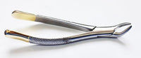 Dental Extracting Forceps 150 & 151 – Tooth Extraction Tools with T/C Layer | Premium Stainless Steel | 2 Pcs Set | Reusable & Autoclavable