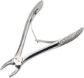 Pedo Extraction Forceps Premolars 6C – Pediatric Dental Extraction Instrument | Fine Beak Design, Stainless Steel, Ergonomic Grip | Reusable #FX6CE