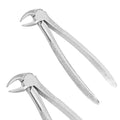 Tooth Extraction Forceps – Lower Roots, Broad D33 | Dental Extraction Pliers