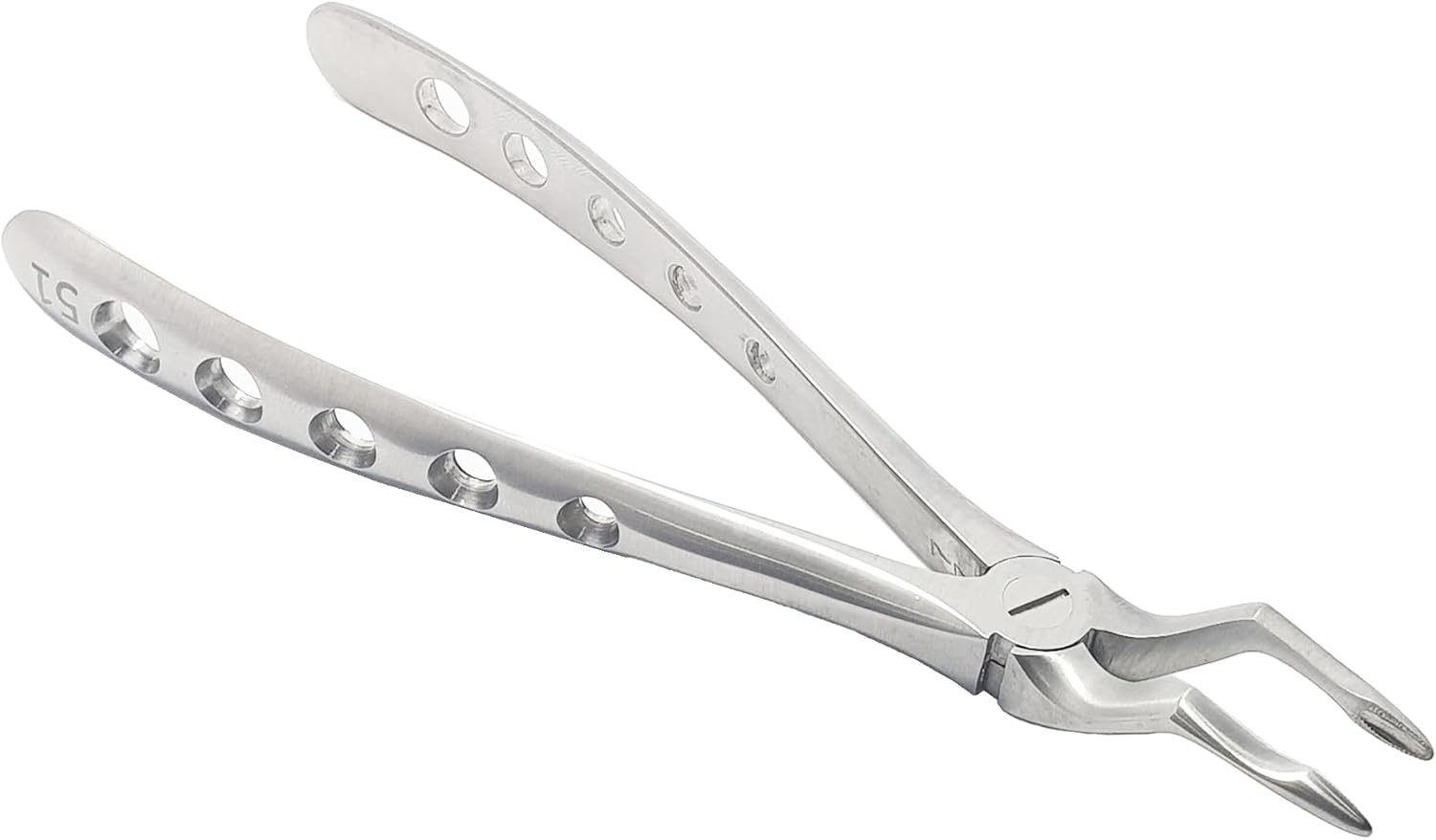 Upper Roots Extraction Forceps #51 (FX51) – Premium Stainless Steel Dental Extraction Instrument with Serrated Beaks | Reusable & Autoclavable