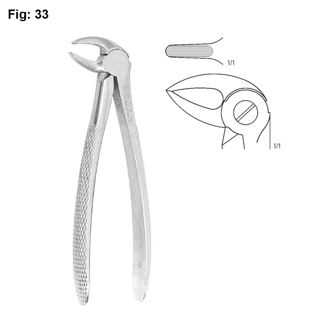 Tooth Extraction Forceps – Lower Roots, Broad D33 | Dental Extraction Pliers