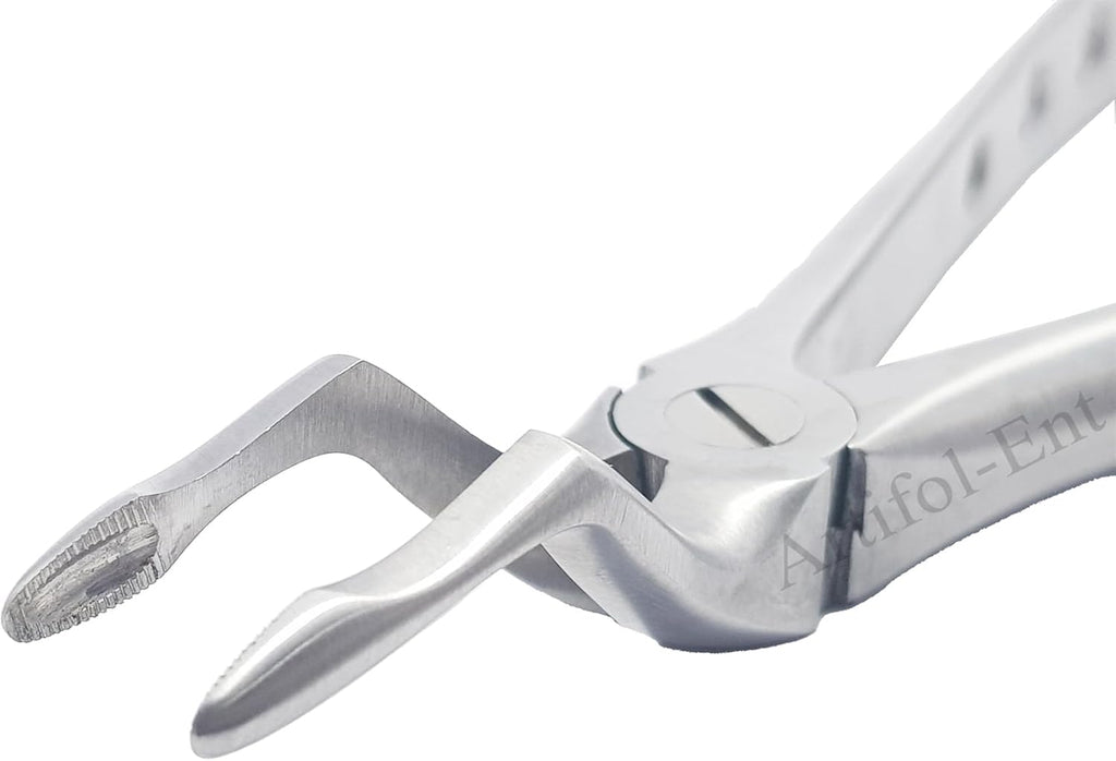 Upper Roots Extraction Forceps #51 (FX51) – Premium Stainless Steel Dental Extraction Instrument with Serrated Beaks | Reusable & Autoclavable