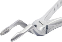 Upper Roots Extraction Forceps #51 (FX51) – Premium Stainless Steel Dental Extraction Instrument with Serrated Beaks | Reusable & Autoclavable