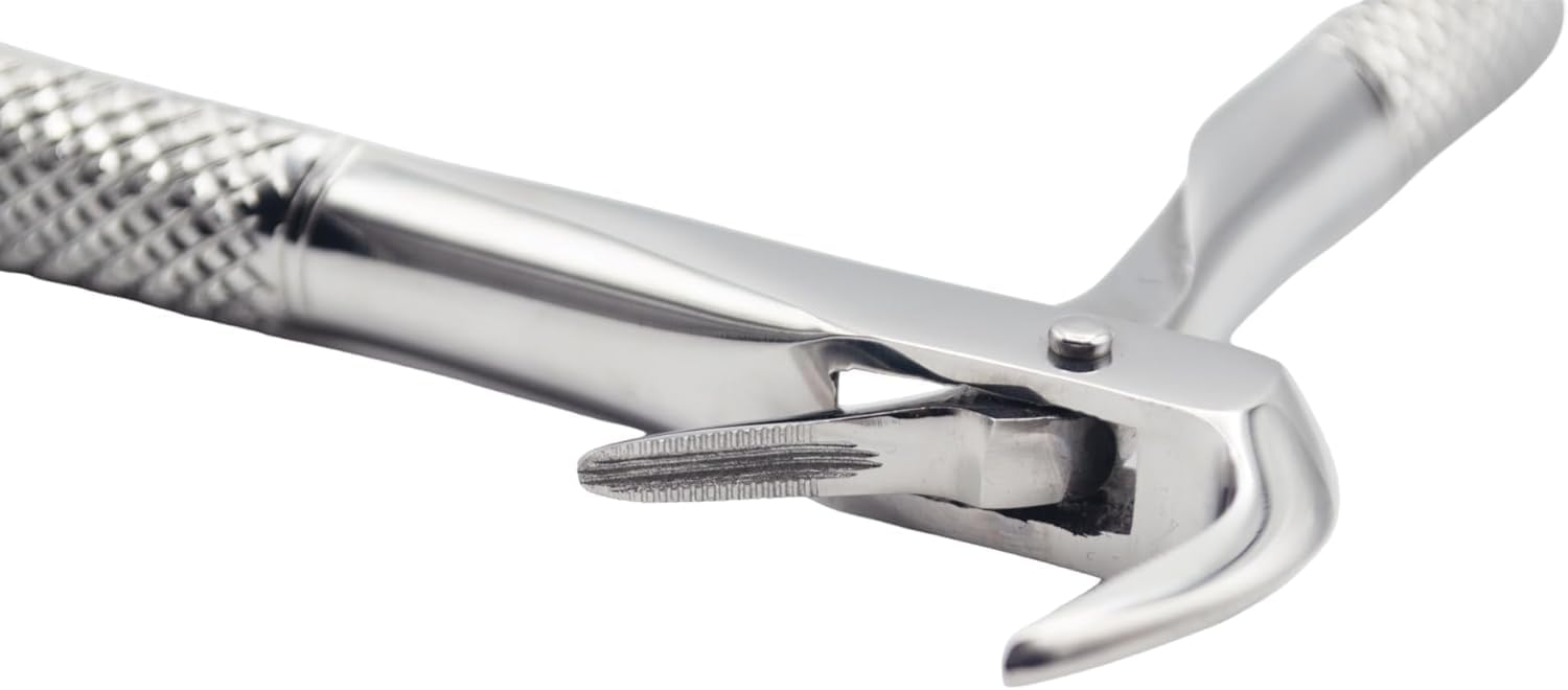 Lower Roots Serrated Extraction Forceps 74N – Precision Dental Root Extraction Instrument | Serrated Beak Design, Stainless Steel, Ergonomic Grip | Reusable #FX74N