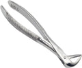 Lower Roots Serrated Extraction Forceps 74N – Precision Dental Root Extraction Instrument | Serrated Beak Design, Stainless Steel, Ergonomic Grip | Reusable #FX74N