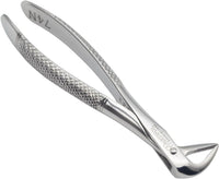 Lower Roots Serrated Extraction Forceps 74N – Precision Dental Root Extraction Instrument | Serrated Beak Design, Stainless Steel, Ergonomic Grip | Reusable #FX74N
