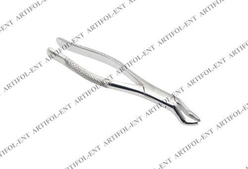 1st & 2nd Right Molars Extraction Forceps 53R – Precision Dental Extraction Instrument | Anatomical Right-Side Beak Design, Stainless Steel, Ergonomic Grip | Reusable #F53R