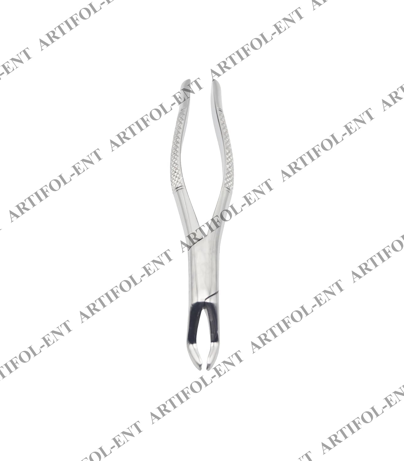 1st & 2nd Right Molars Extraction Forceps 53R – Precision Dental Extraction Instrument | Anatomical Right-Side Beak Design, Stainless Steel, Ergonomic Grip | Reusable #F53R