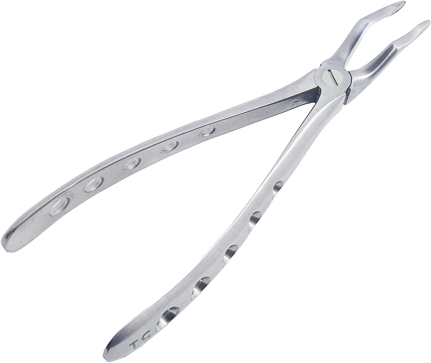 Upper Roots Extraction Forceps #51 (FX51) – Premium Stainless Steel Dental Extraction Instrument with Serrated Beaks | Reusable & Autoclavable