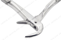 European Style Root Extraction Forceps – Deep-Reach Serrated Beaks | Premium Surgical Stainless Steel | Precision Fragment Retrieval & Sub-Gingival Root Management #FX74