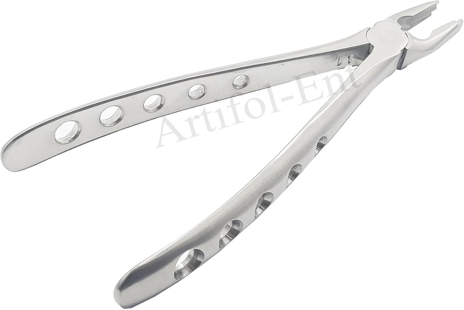 Upper Anteriors Extraction Forceps #1 – Dental Tooth Extraction Instrument for Upper Front Teeth | Premium Stainless Steel | Reusable & Autoclavable | FX1