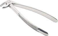 Lower Premolars Extraction Forceps #13 (FX13) – Premium Stainless Steel Dental Extraction Instrument | Reusable & Autoclavable
