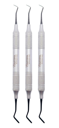 3 Goldstin Flexy-Thin Composite Filling Instruments | 3-Piece Dental Kit | Titanium Black Non-Stick Tips #TNCIGFT3