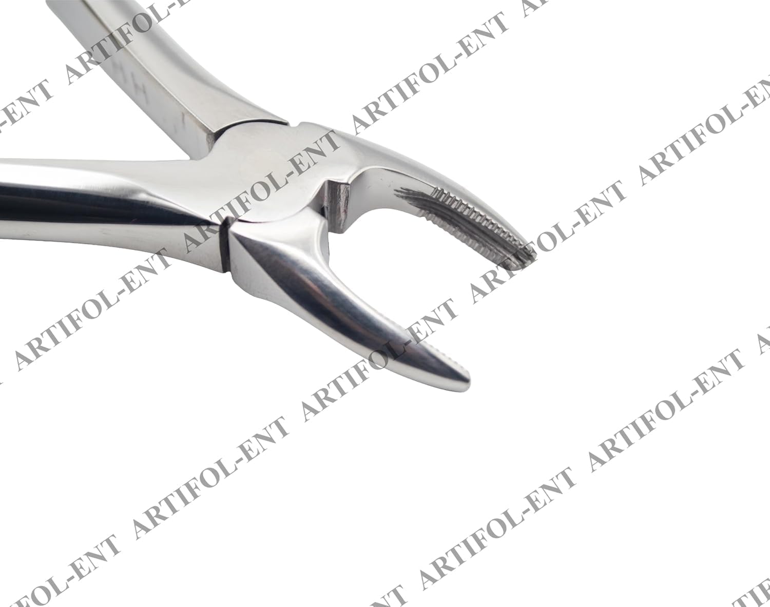 Pedo Extraction Forceps Premolars 6C – Pediatric Dental Extraction Instrument | Fine Beak Design, Stainless Steel, Ergonomic Grip | Reusable #FX6CE