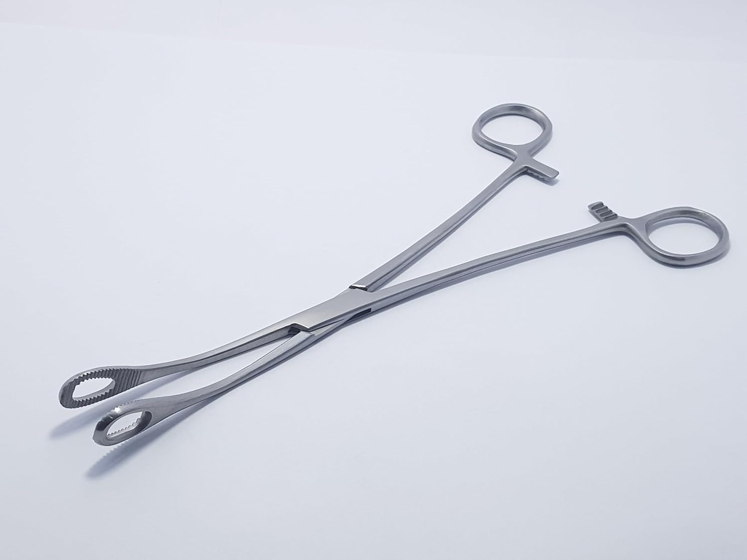 Foerster Ballenger Sponge Holding Forceps Curved 25 cm (9.75") – Serrated Jaws Surgical Instrument | Precision Medical Forceps | 1 Pc