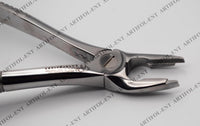Pince d’extraction de précision de style européen – FX35E | Outil de préhension et d’extraction robuste en acier inoxydable | Mâchoires dentelées puissantes, levier équilibré et construction durable | Idéale pour le travail artisanal #FX35E