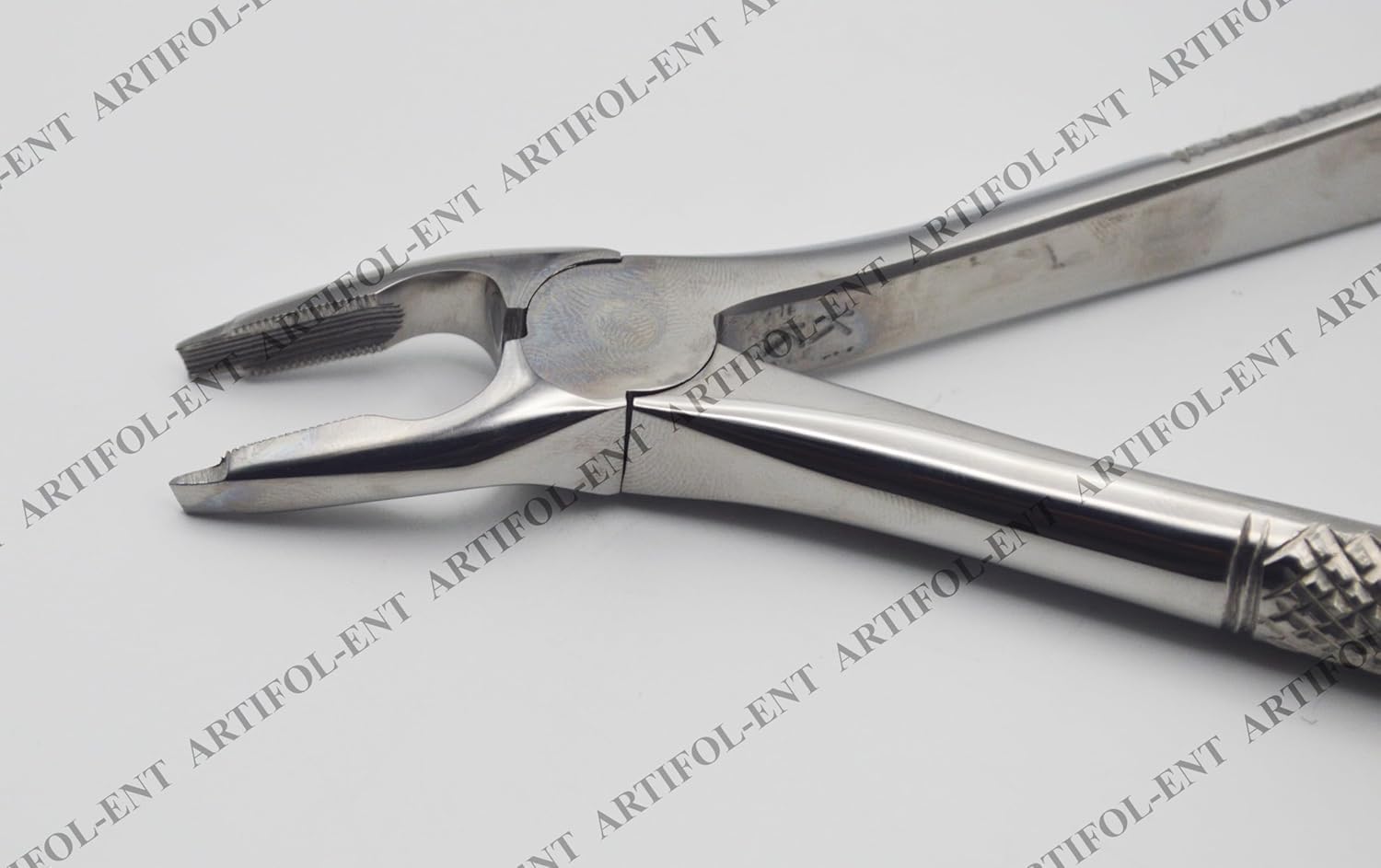 European-Style Precision Extraction Forceps – FX35E | Heavy-Duty Stainless Steel Gripping & Removal Tool | Strong Serrated Jaws, Balanced Leverage & Durable Build | Ideal for Crafting Handling #FX35E