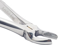 Upper Molars Right Extraction Forceps #17 (FX17) – Premium Stainless Steel Dental Extraction Instrument | Reusable & Autoclavable