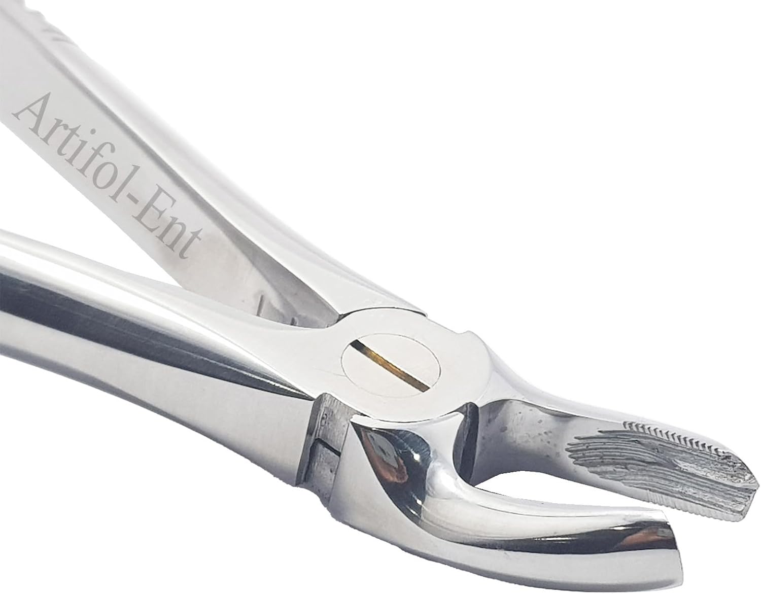 Upper Molars Right Extraction Forceps #17 (FX17) – Premium Stainless Steel Dental Extraction Instrument | Reusable & Autoclavable