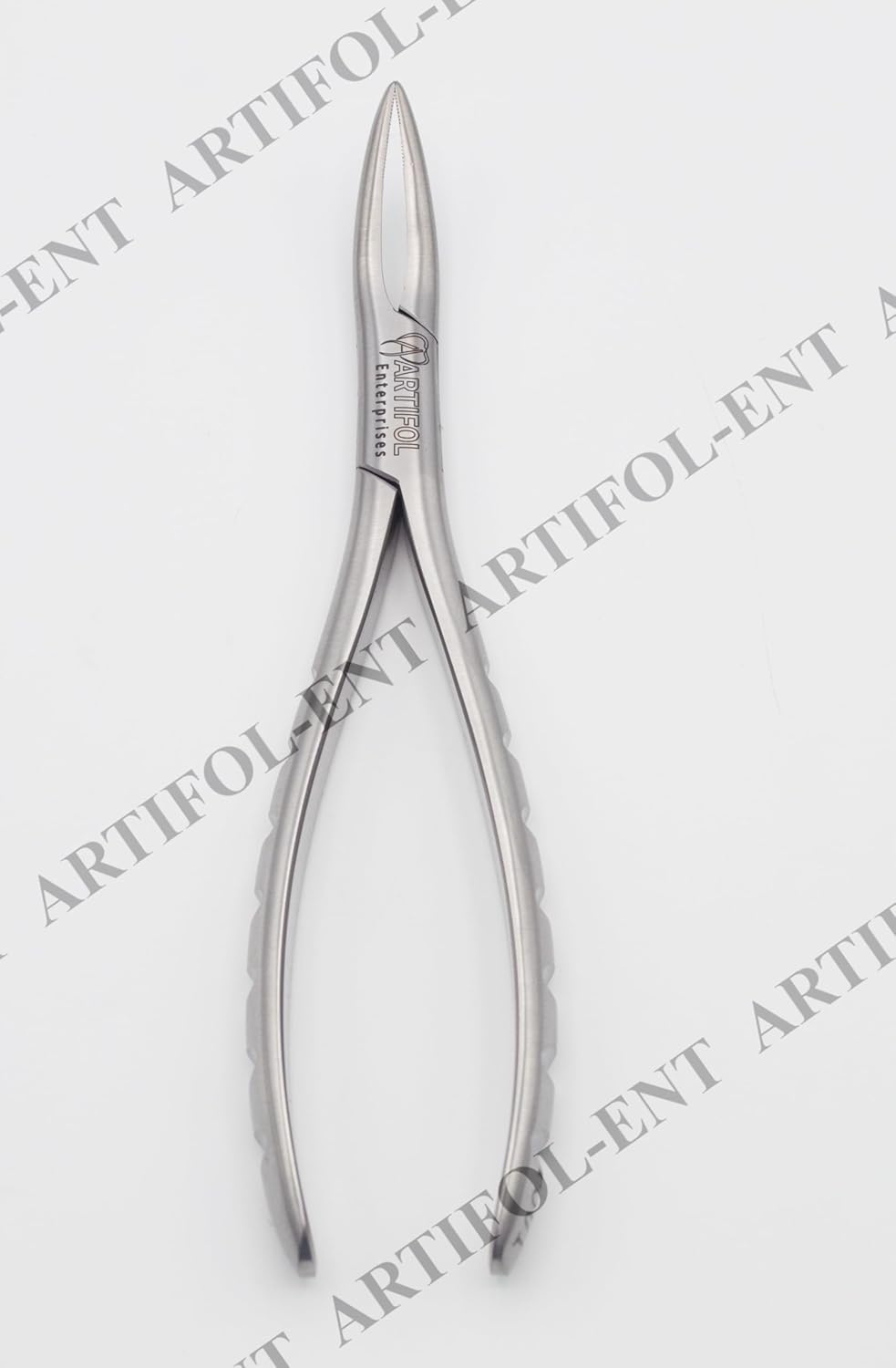 Root Extraction Forceps F301 – Deep-Grip Serrated Beaks | Premium Stainless Steel | Precision Non-Slip Handle & Anatomical Design | Ideal for Fragile Root Removal #F301-1