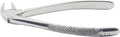 Lower Premolars Extraction Forceps #13 (FX13) – Premium Stainless Steel Dental Extraction Instrument | Reusable & Autoclavable