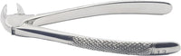 Lower Premolars Extraction Forceps #13 (FX13) – Premium Stainless Steel Dental Extraction Instrument | Reusable & Autoclavable