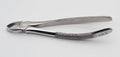 Professional Extraction Forceps Upper Molar Left 18E – Anatomical Deep-Grip Beaks | High-Performance Stainless Steel Extraction Instrument | Precision Anti-Slip Handle & Calibrated Pivot #FX18E
