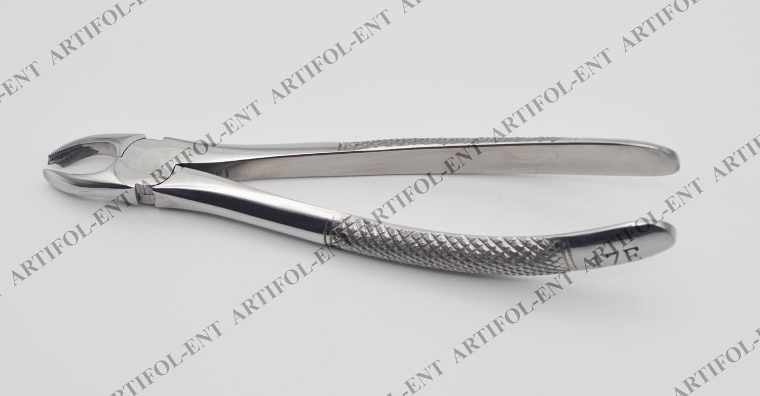 Professional Extraction Forceps Upper Molar Right 17E – Anatomical Deep-Grip Beaks | High-Performance Stainless Steel | Precision Anti-Slip Handle & Calibrated Pivot #FX17E