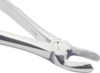 Upper Molars Left Extraction Forceps #18 (FX18) – Premium Stainless Steel Dental Extraction Instrument | Reusable & Autoclavable