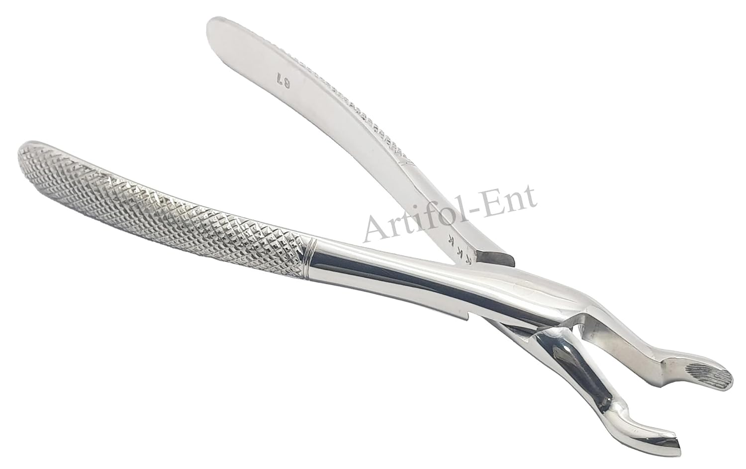 Dental Tooth Extraction Forceps – Upper Wisdom Tooth D67 | Professional Stainless Steel Extraction Pliers