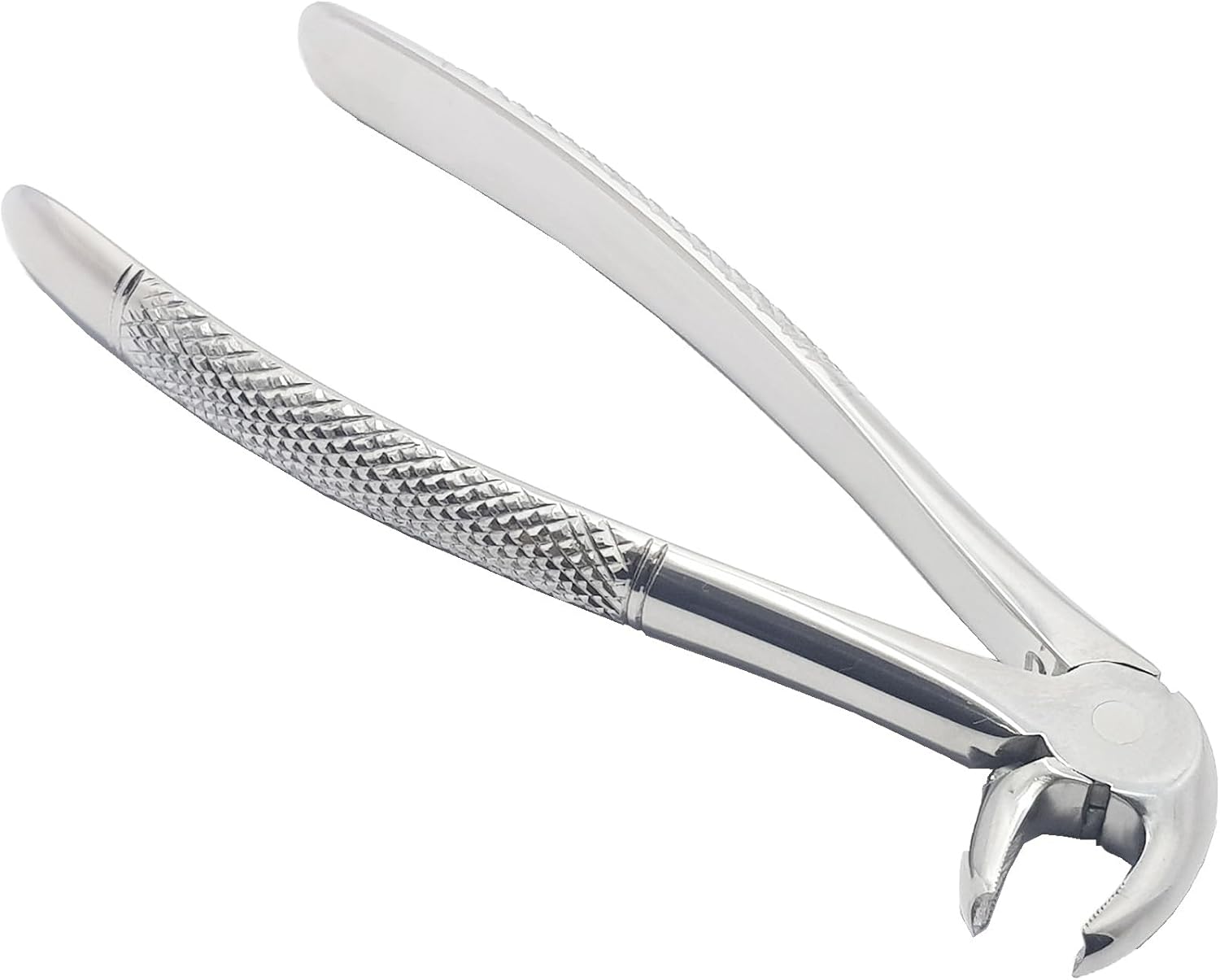 Lower Premolars Extraction Forceps #13 (FX13) – Premium Stainless Steel Dental Extraction Instrument | Reusable & Autoclavable
