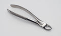 Professional Extraction Forceps Upper Molar Right 17E – Anatomical Deep-Grip Beaks | High-Performance Stainless Steel | Precision Anti-Slip Handle & Calibrated Pivot #FX17E