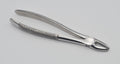 Professional Extraction Forceps Upper Anteriors 1E – Straight Precision Beaks | High-Performance Stainless Steel Extraction Instrument | Ergonomic Non-Slip Handle | Ideal for Vertical Extraction #FX1E