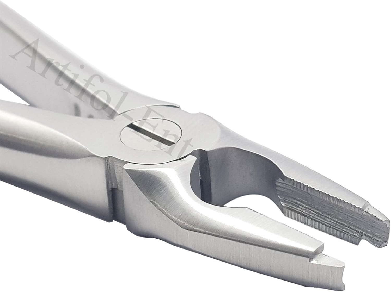 Upper Anteriors Extraction Forceps #1 – Dental Tooth Extraction Instrument for Upper Front Teeth | Premium Stainless Steel | Reusable & Autoclavable | FX1