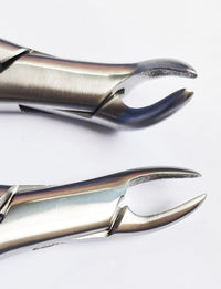 Dental Extracting Forceps 150 & 151 – Tooth Extraction Tools with T/C Layer | Premium Stainless Steel | 2 Pcs Set | Reusable & Autoclavable