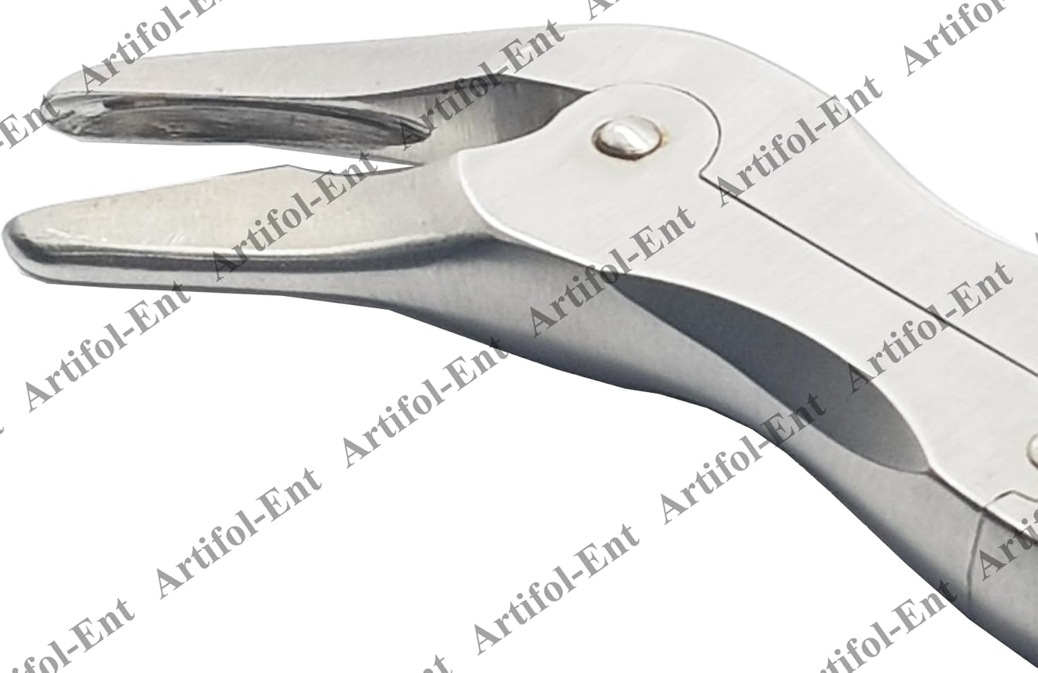 Echlin Duckbill Rongeur – 3 mm x 23 cm | Strumento per tagliare e modellare le ossa in acciaio inossidabile #116910014