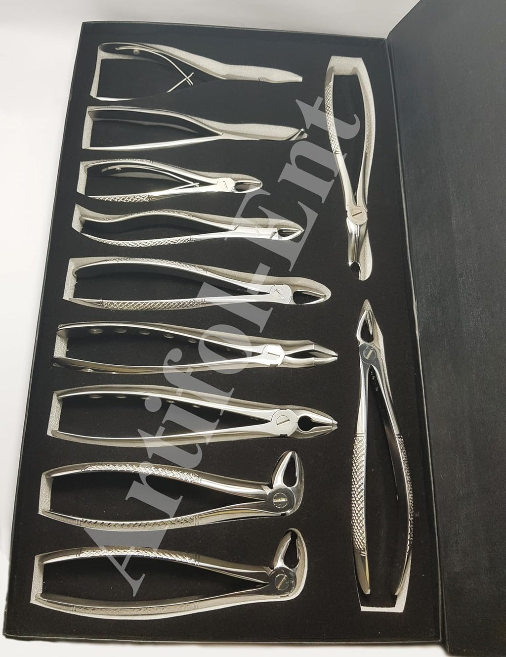 11-Piece Dental Extraction Forceps Kit – Stainless Steel Professional Instruments | Includes Forceps #51, 67A, 17, 13, 18, 22, 1, 6C, 76S, F301 & Ronguer Blument 15 cm
