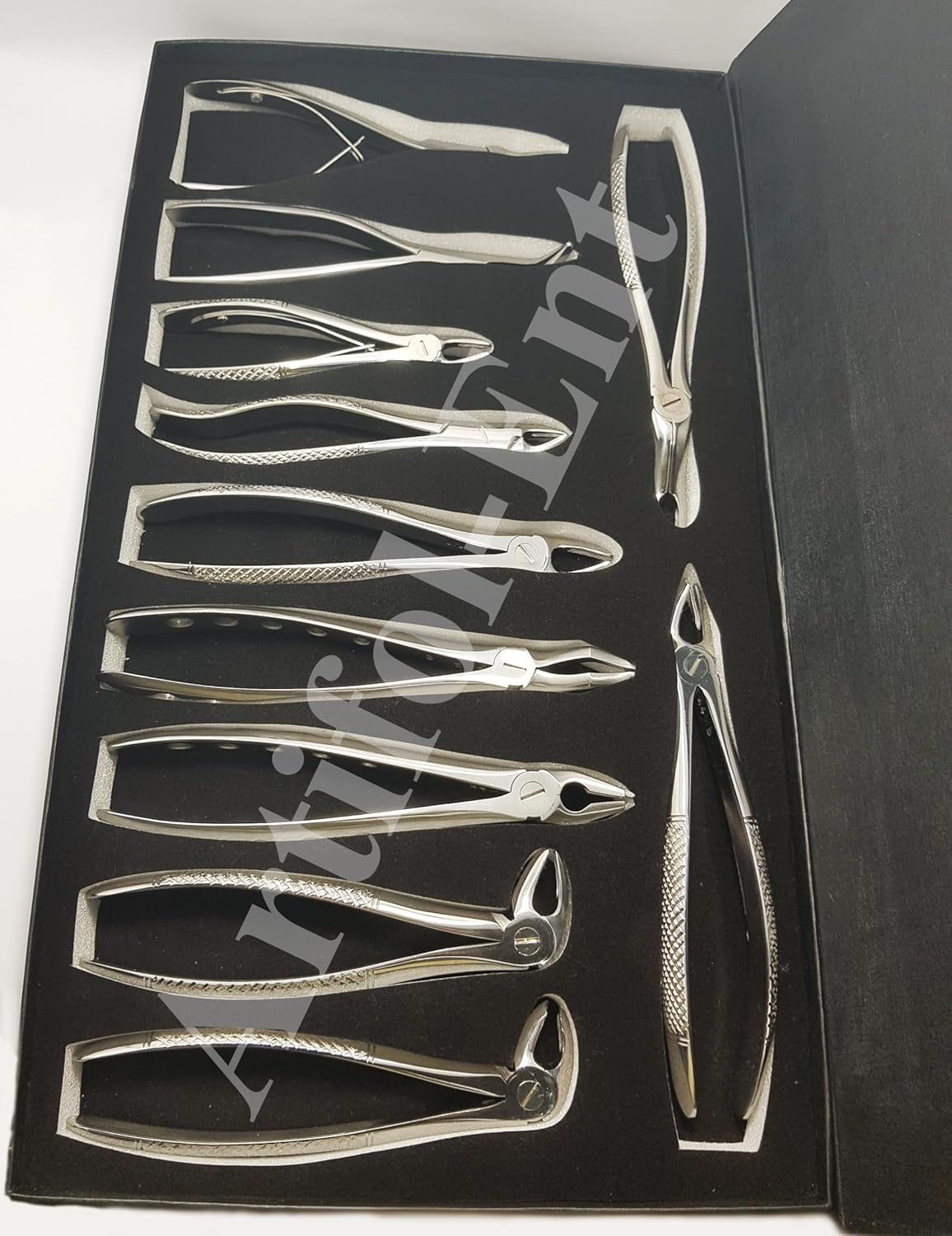 11-Piece Dental Extraction Forceps Kit – Stainless Steel Professional Instruments | Includes Forceps #51, 67A, 17, 13, 18, 22, 1, 6C, 76S, F301 & Ronguer Blument 15 cm