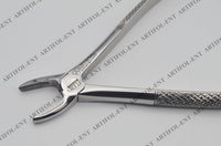 Professional Extraction Forceps Upper Anteriors 1E – Straight Precision Beaks | High-Performance Stainless Steel Extraction Instrument | Ergonomic Non-Slip Handle | Ideal for Vertical Extraction #FX1E