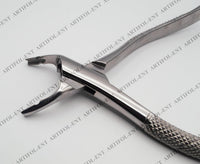 Serrated Grip Precision Extraction Forceps – Upper-Root Style 97E | High-Grade Stainless Steel Holding Tool | Strong Serrations, Secure Control & Durable Build | Ideal for Crafting #FX97E