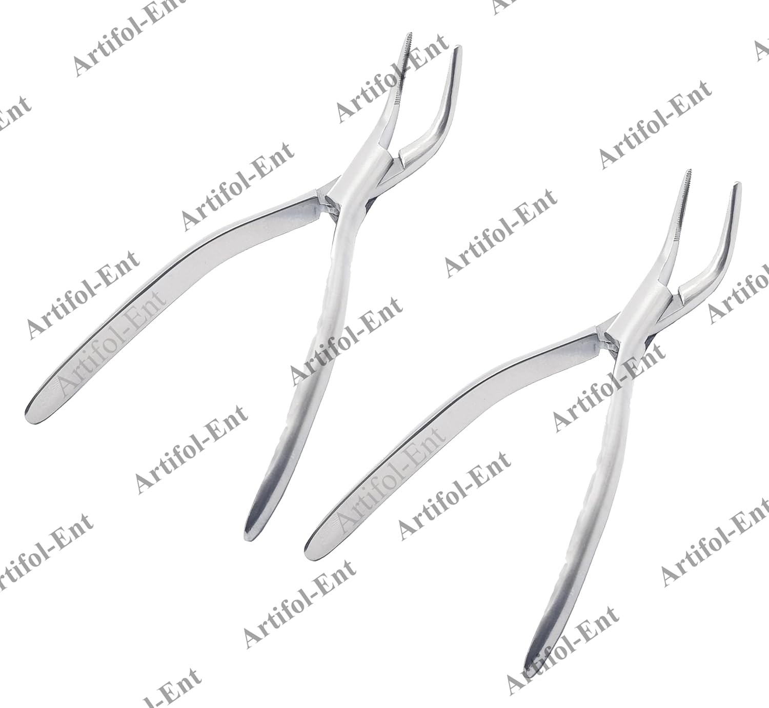 Dental Extracting Forceps #F301 | 2-Piece Lower Root Extraction Set | Stainless Steel, Autoclavable #F301